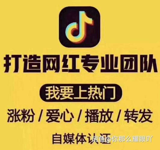 抖音真人粉丝平台永不掉粉,抖音怎么增加浏览量和粉丝-全网最低价qq业务平台登录-快手涨1000粉丝网站是多少